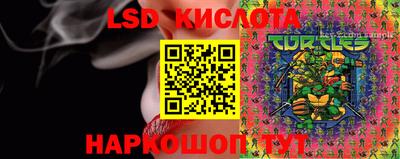 шишки Гусев