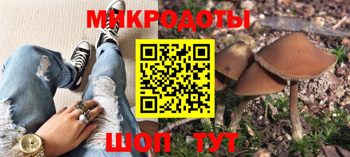 Псилоцибиновые грибы Cubensis  Вход с VPN  Псилоцибиновые грибы прущие грибы  Наро-Фоминск 